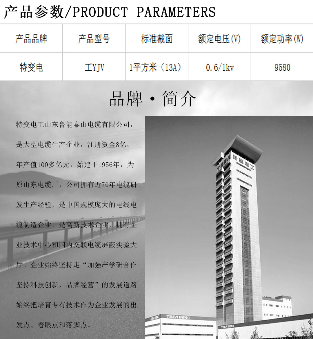 特变电工电线电缆