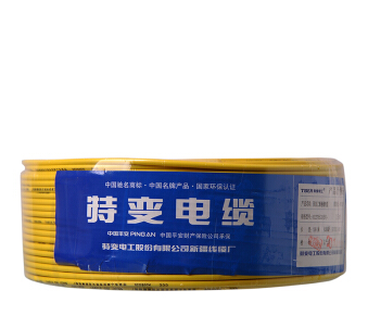  特变电工电线电缆 ZC-BV-4平方