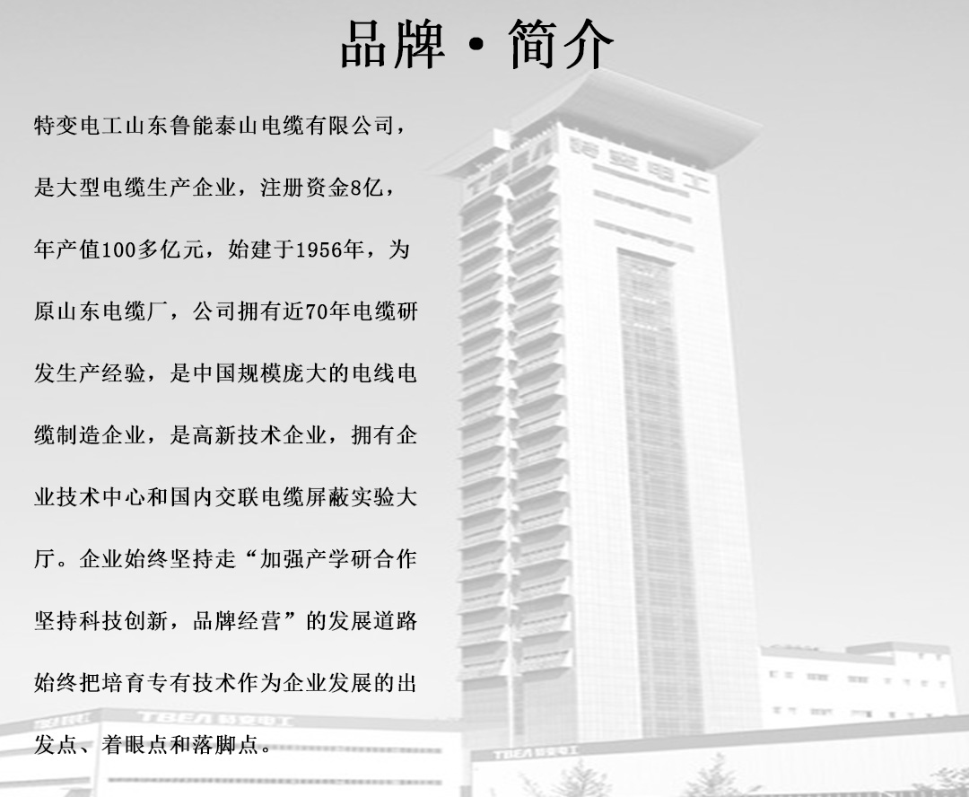 特变电工电线电缆批发