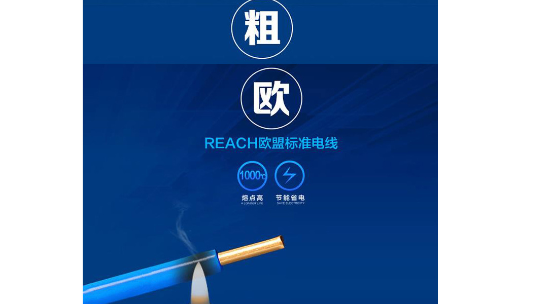 XPJ(中国大陆)有限公司官网